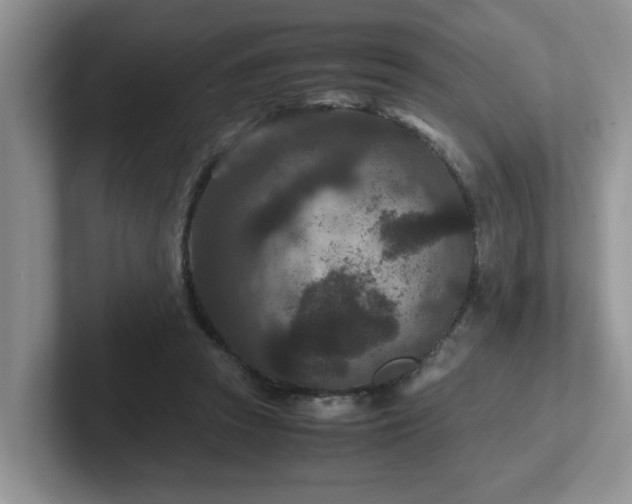 X0000102510353200808081415