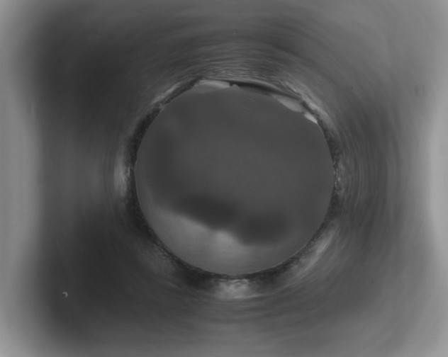 X0000102510355200808081415