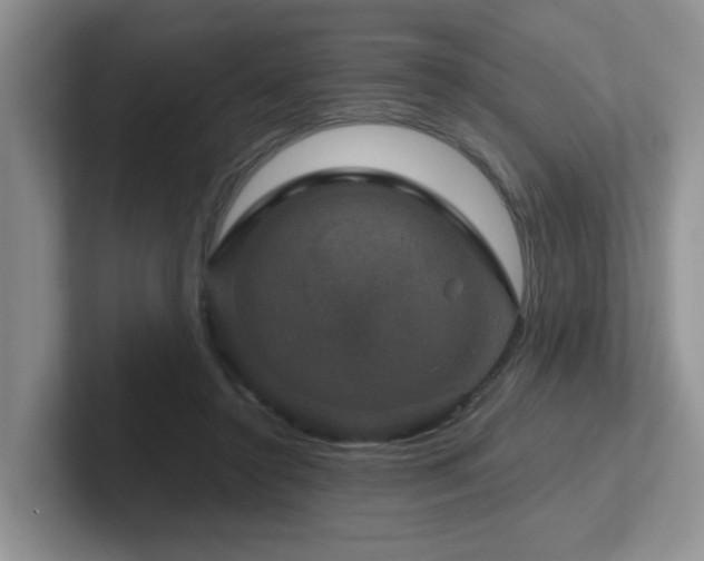 X0000102510356200808081415