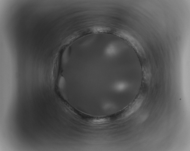 X0000102510357200808081415