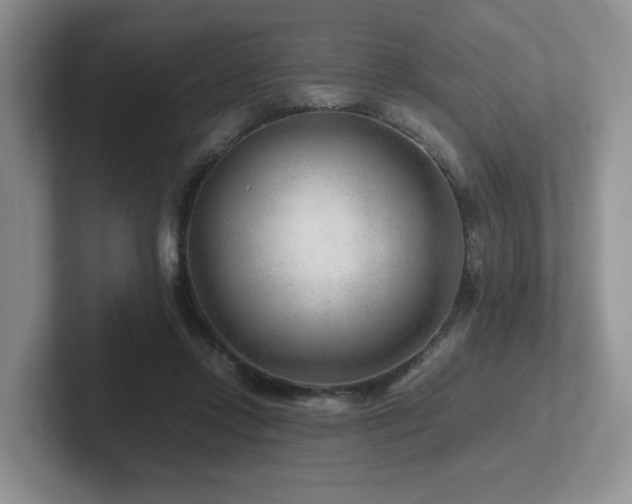 X0000102510358200808081415