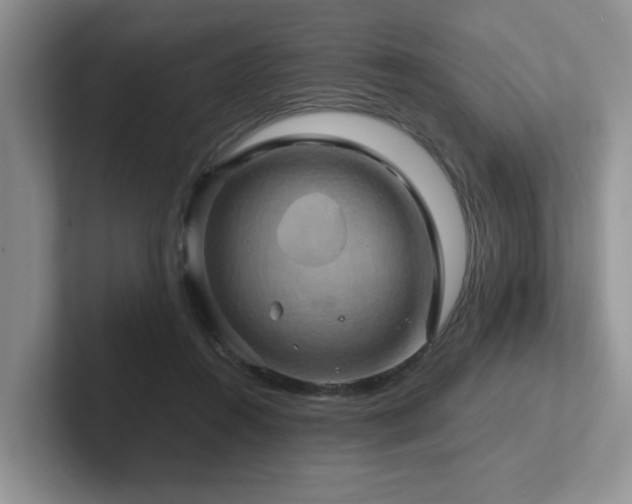 X0000102510360200808081415