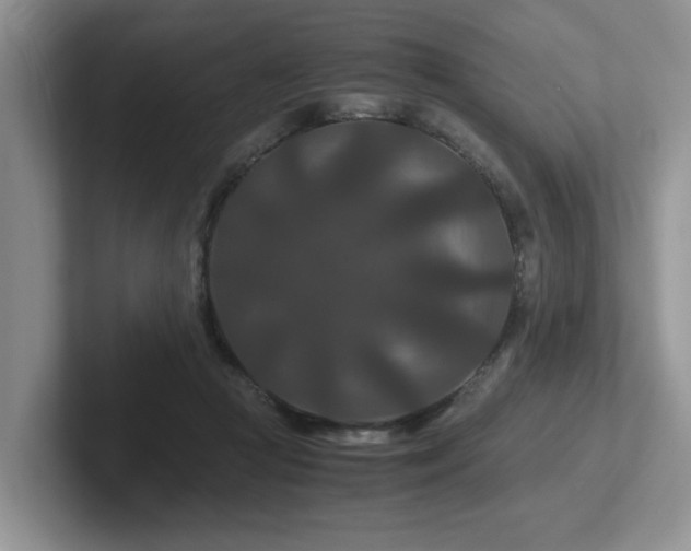 X0000102510361200808081415