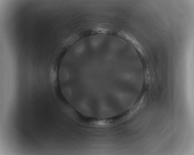 X0000102510365200808081415