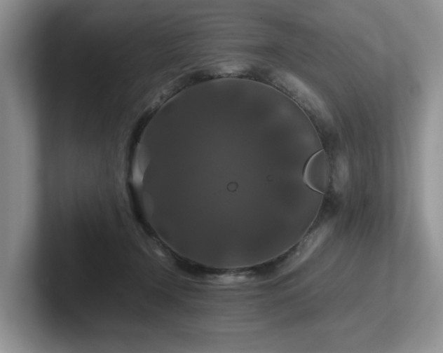 X0000102510366200808081415