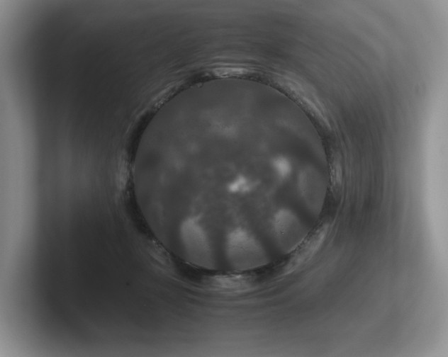 X0000102510367200808081415