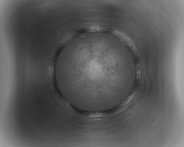 X0000102510369200808081415