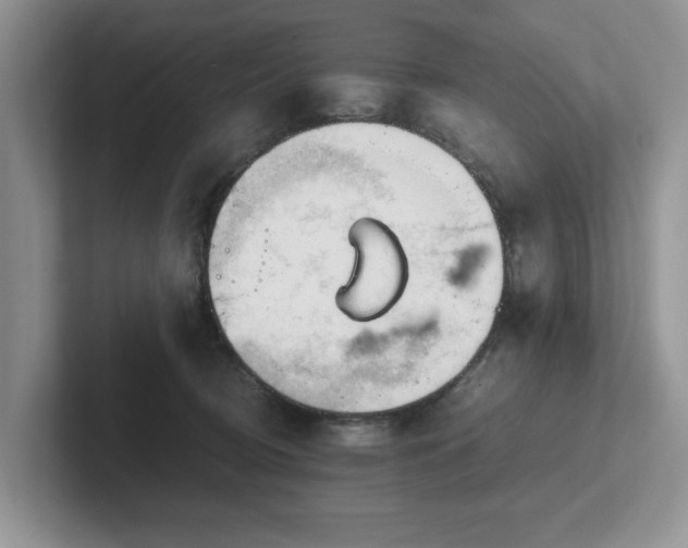 X0000102510370200808081415