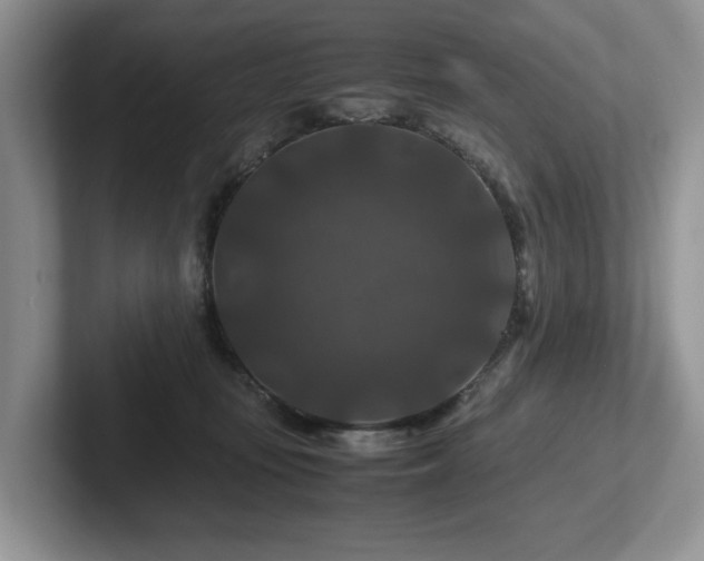 X0000102510371200808081415