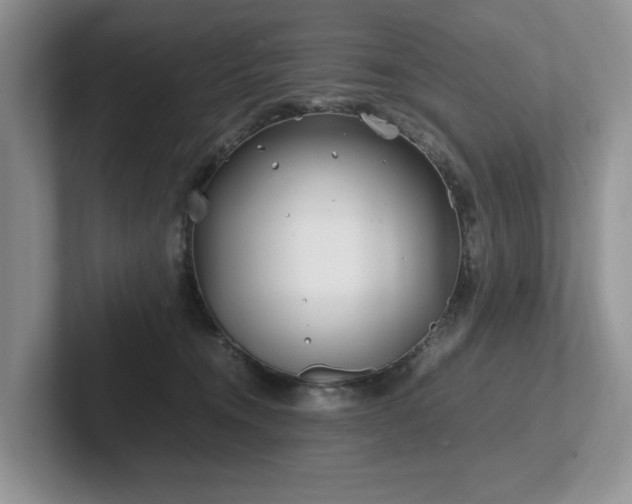 X0000102510372200808081415