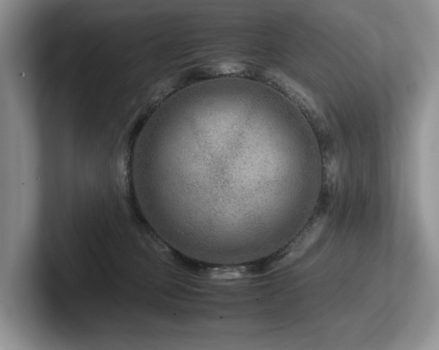 X0000102510373200808081415