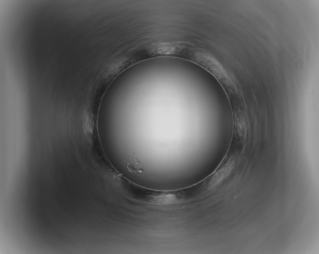 X0000102510374200808081415
