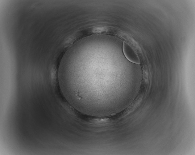 X0000102510375200808081415