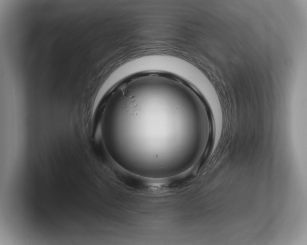 X0000102510376200808081415