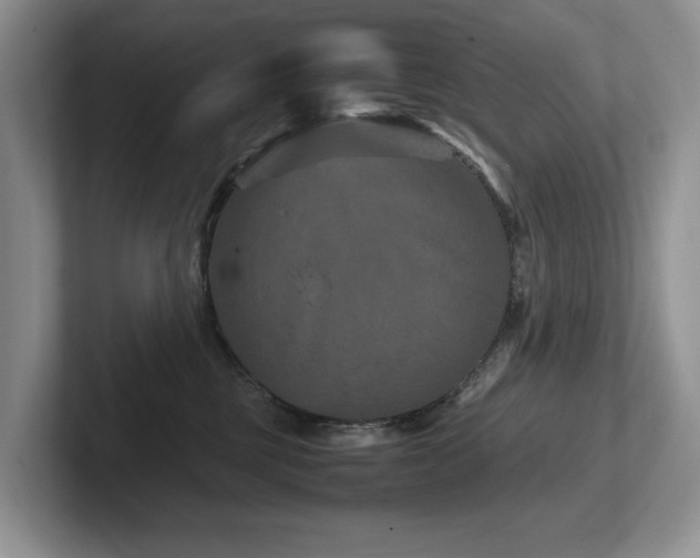 X0000102510377200808081415