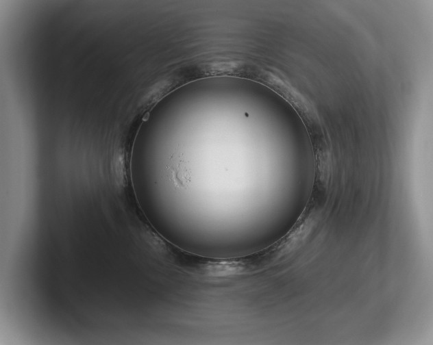X0000102510378200808081415