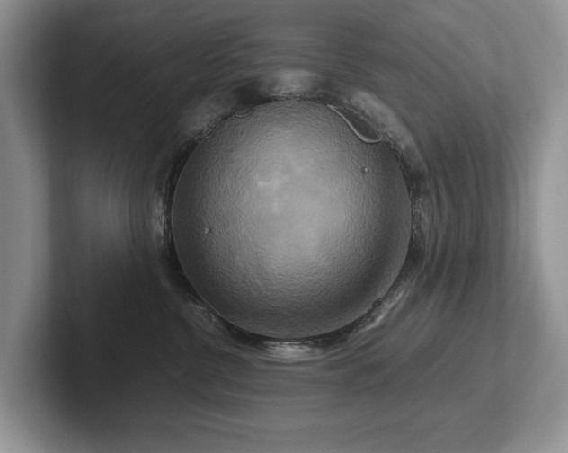 X0000102510380200808081415