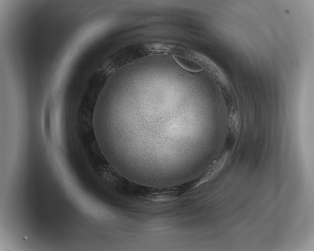 X0000102510381200808081415