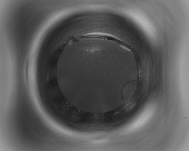 X0000102510383200808081415
