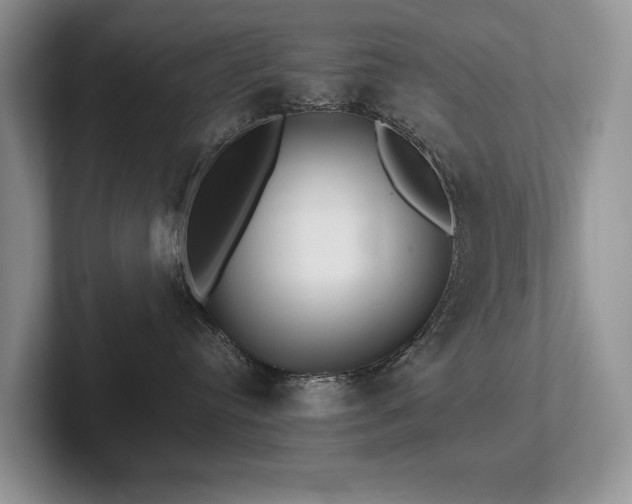 X0000102510384200808081415