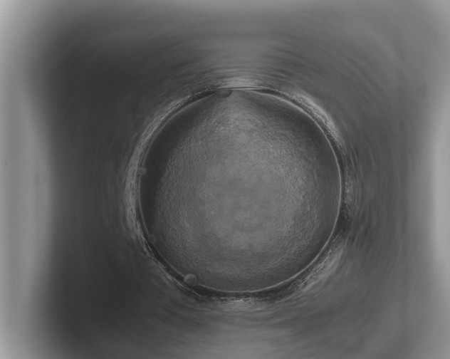 X0000102510385200808081414