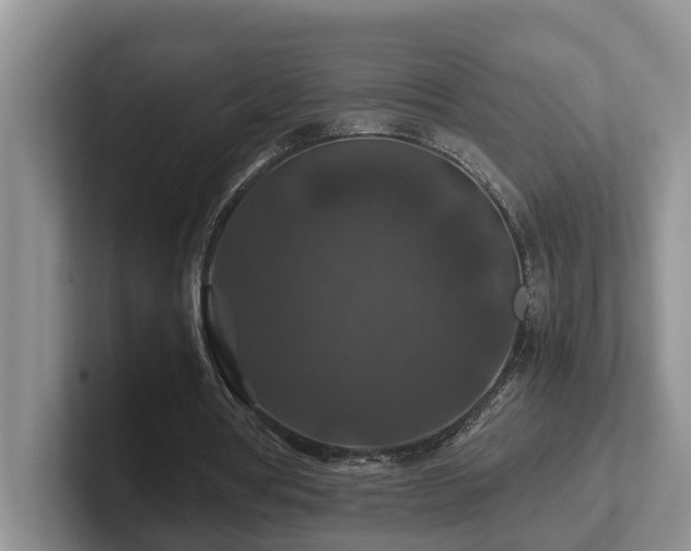 X0000102510386200808081414