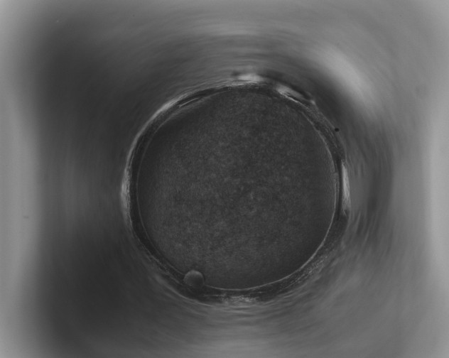 X0000102510387200808081414