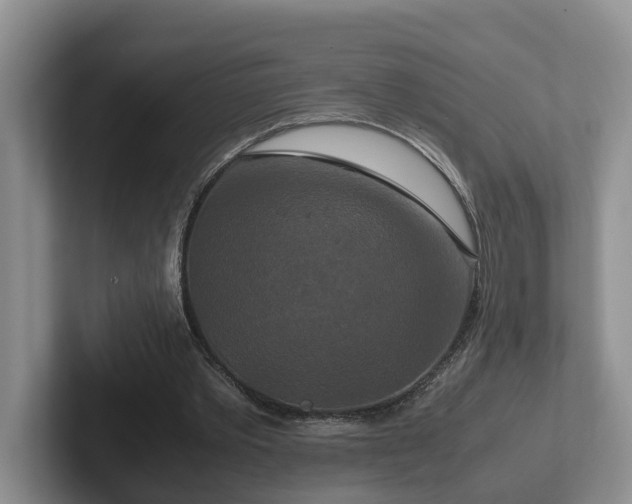 X0000102510389200808081414