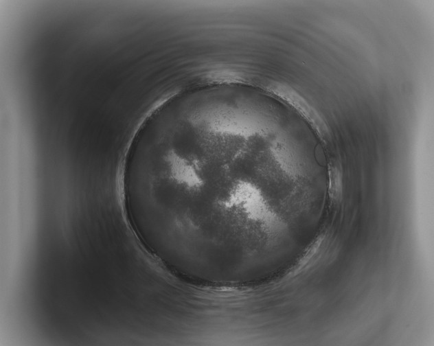 X0000102510390200808081414