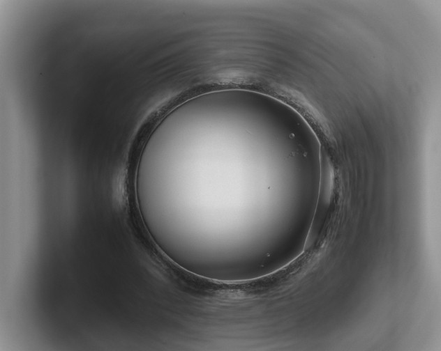 X0000102510392200808081414