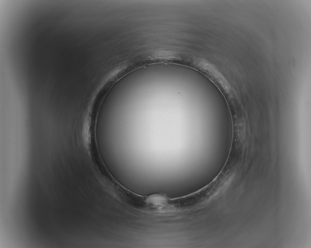 X0000102510395200808081414