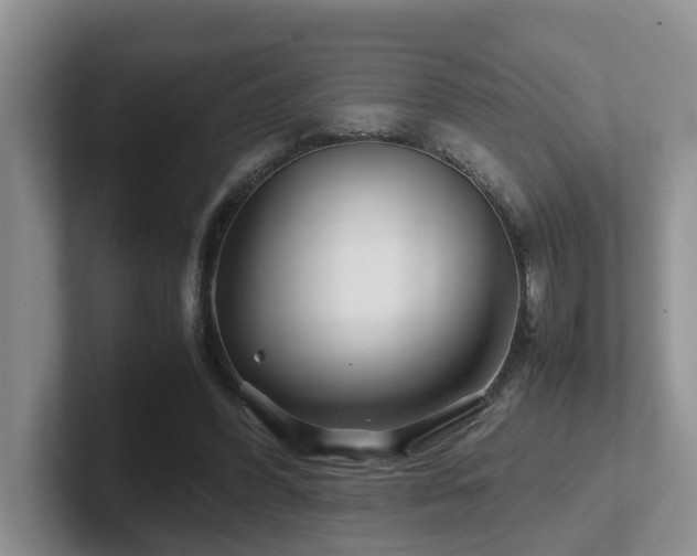 X0000102510396200808081414