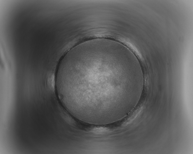 X0000102510397200808081414