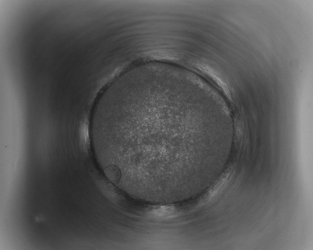 X0000102510398200808081414