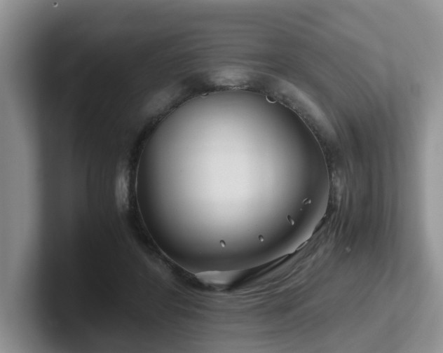 X0000102510404200808081414