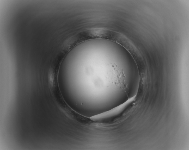 X0000102510408200808081414