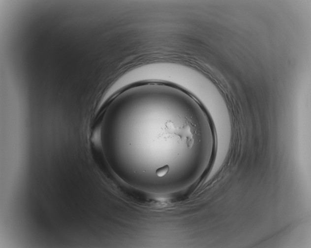 X0000102510409200808081414