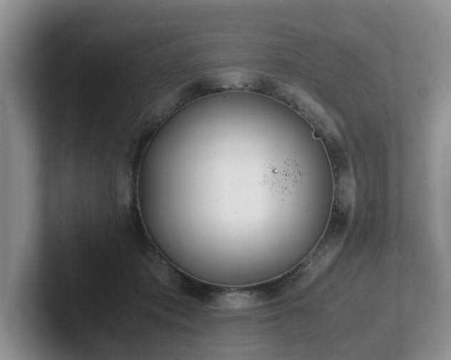 X0000102510413200808081414