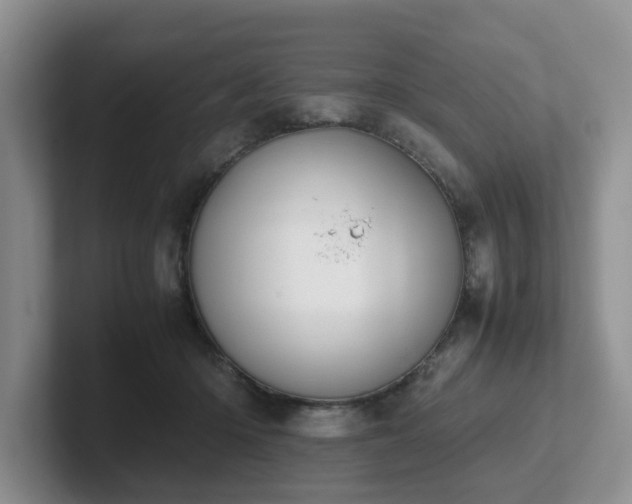 X0000102510414200808081414