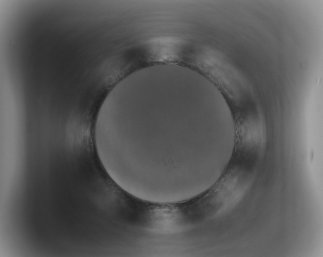 X0000102510415200808081414