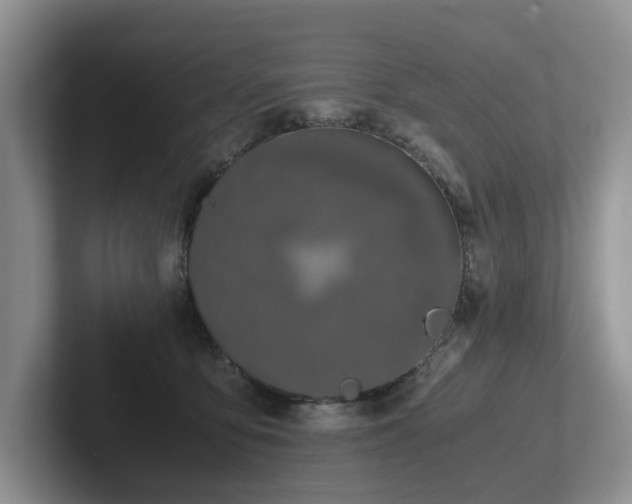 X0000102510419200808081414