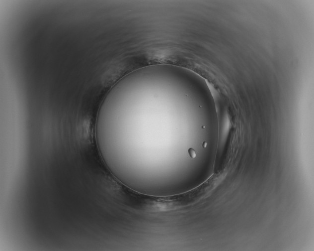 X0000102510420200808081414