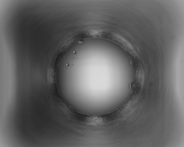 X0000102510421200808081414
