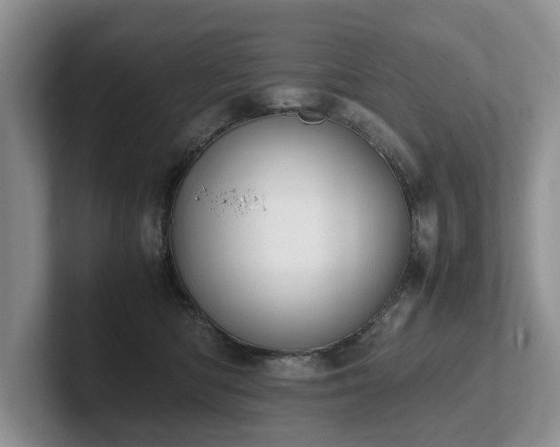 X0000102510422200808081414