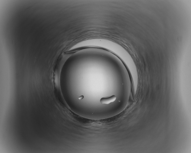 X0000102510423200808081414