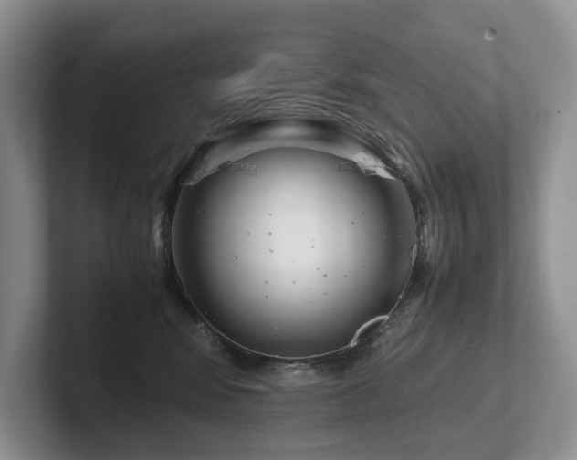 X0000102510424200808081414