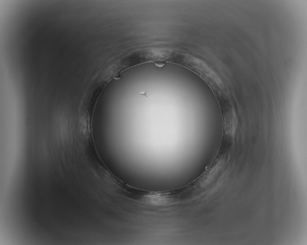 X0000102510425200808081414