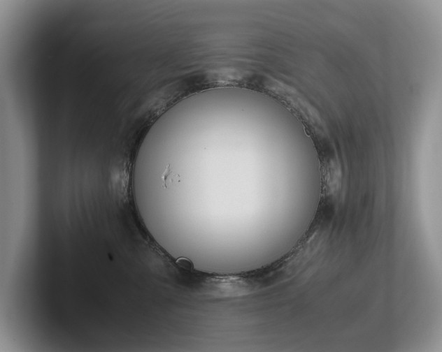 X0000102510427200808081414