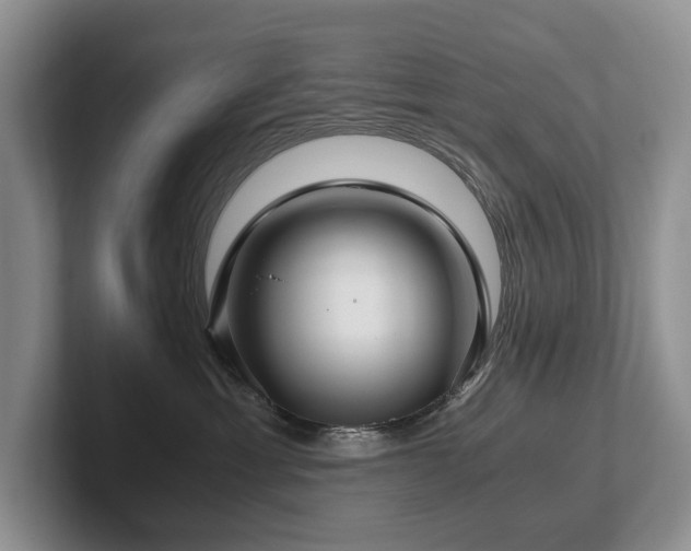 X0000102510429200808081414