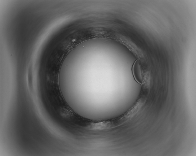 X0000102510430200808081414